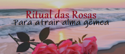 RITUAL DAS ROSAS