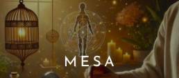 Mesa Radi�nica