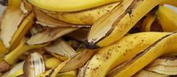 CH DA CASCA DE BANANA